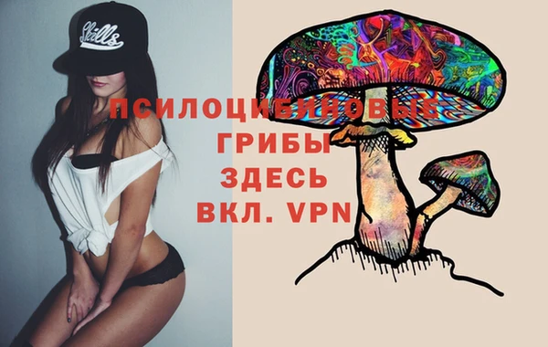 ALPHA PVP Алзамай