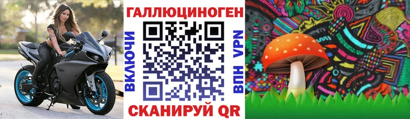 купить наркотик  Ишим  Галлюциногенные грибы Psilocybine cubensis 