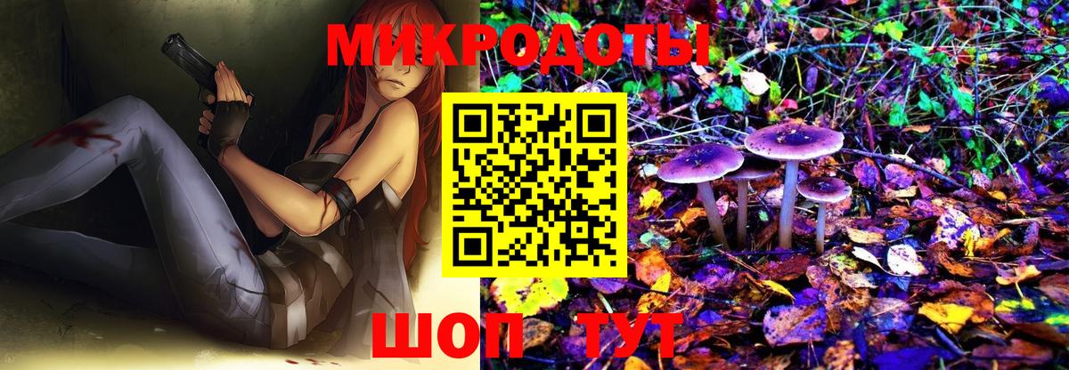 Ишим  Галлюциногенные грибы Cubensis  Вход с VPN 