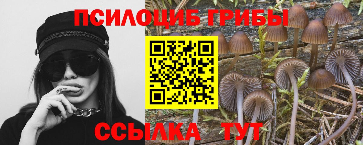 Псилоцибиновые грибы мухоморы Ишим